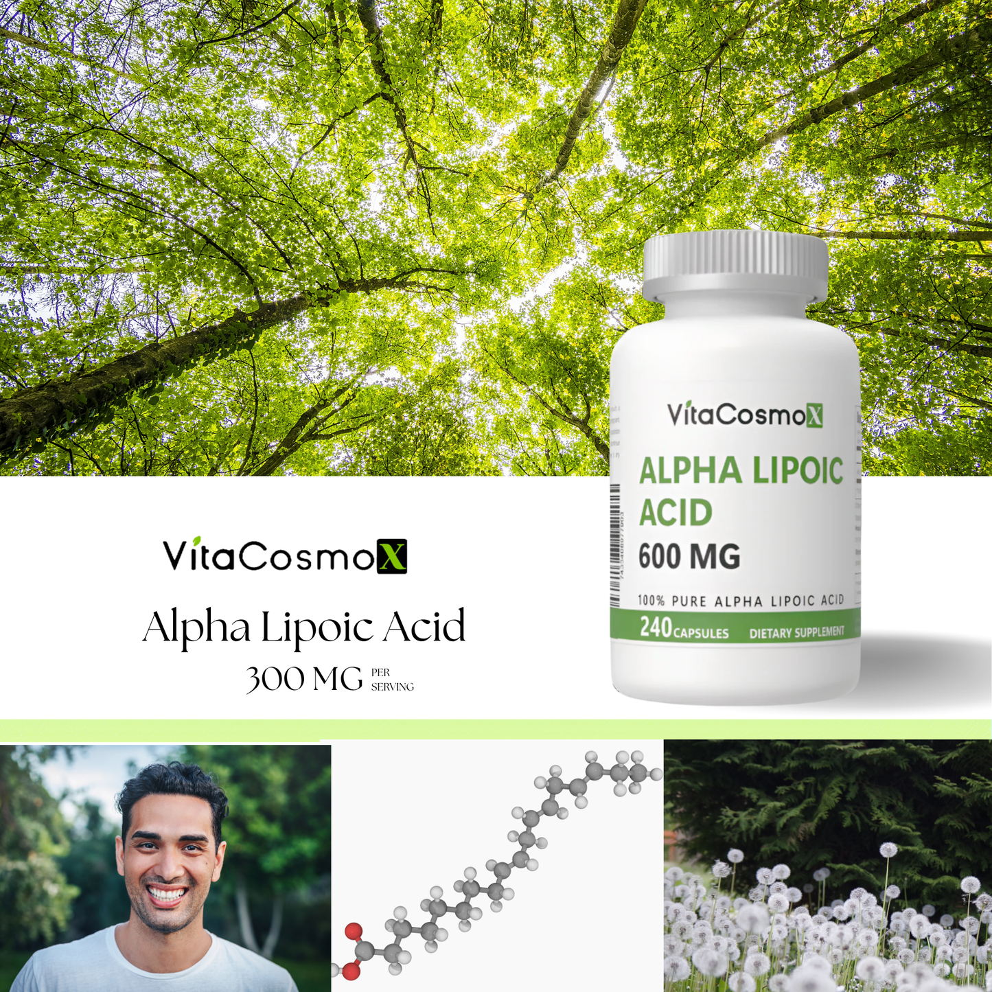 VitaCosmoX Alpha Lipoic Acid Supplement | 600 mg total | 240 Capsules