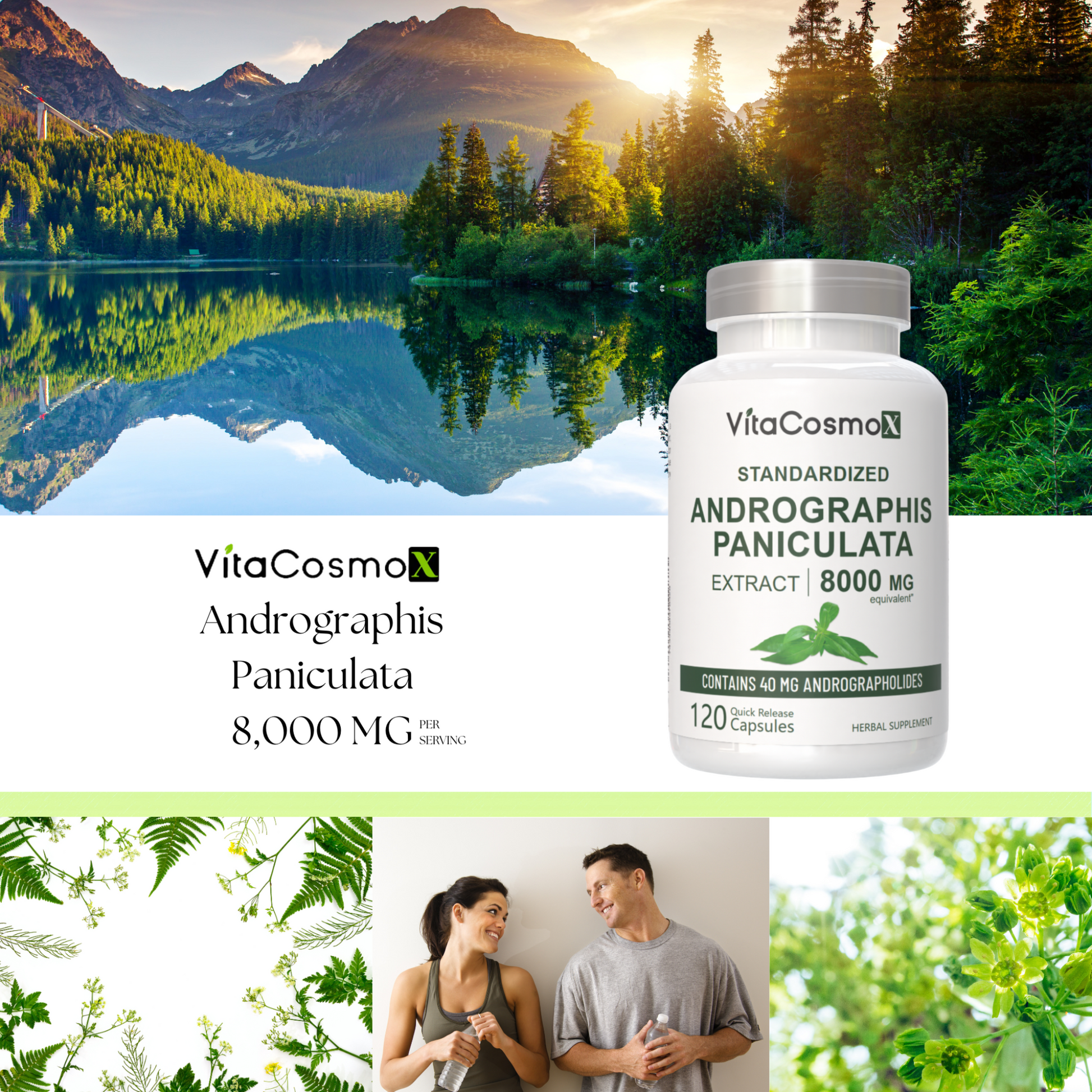 VitaCosmo Andrographis Paniculata supplement bottle with a scenic background 8000 mg 120 capsules