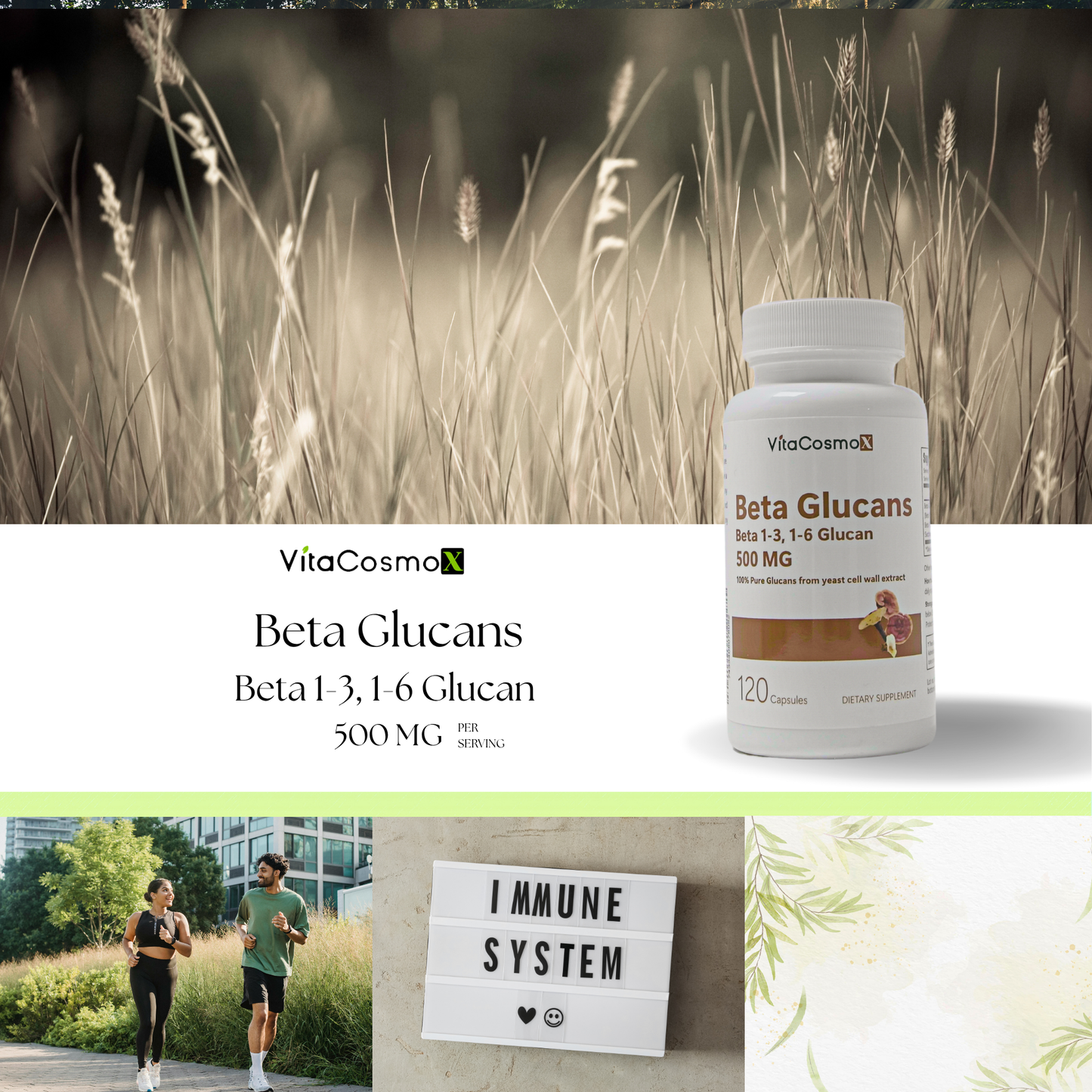 VitaCosmoX Beta Glucan 1,3/1,6  500 mg - 120 Capsules