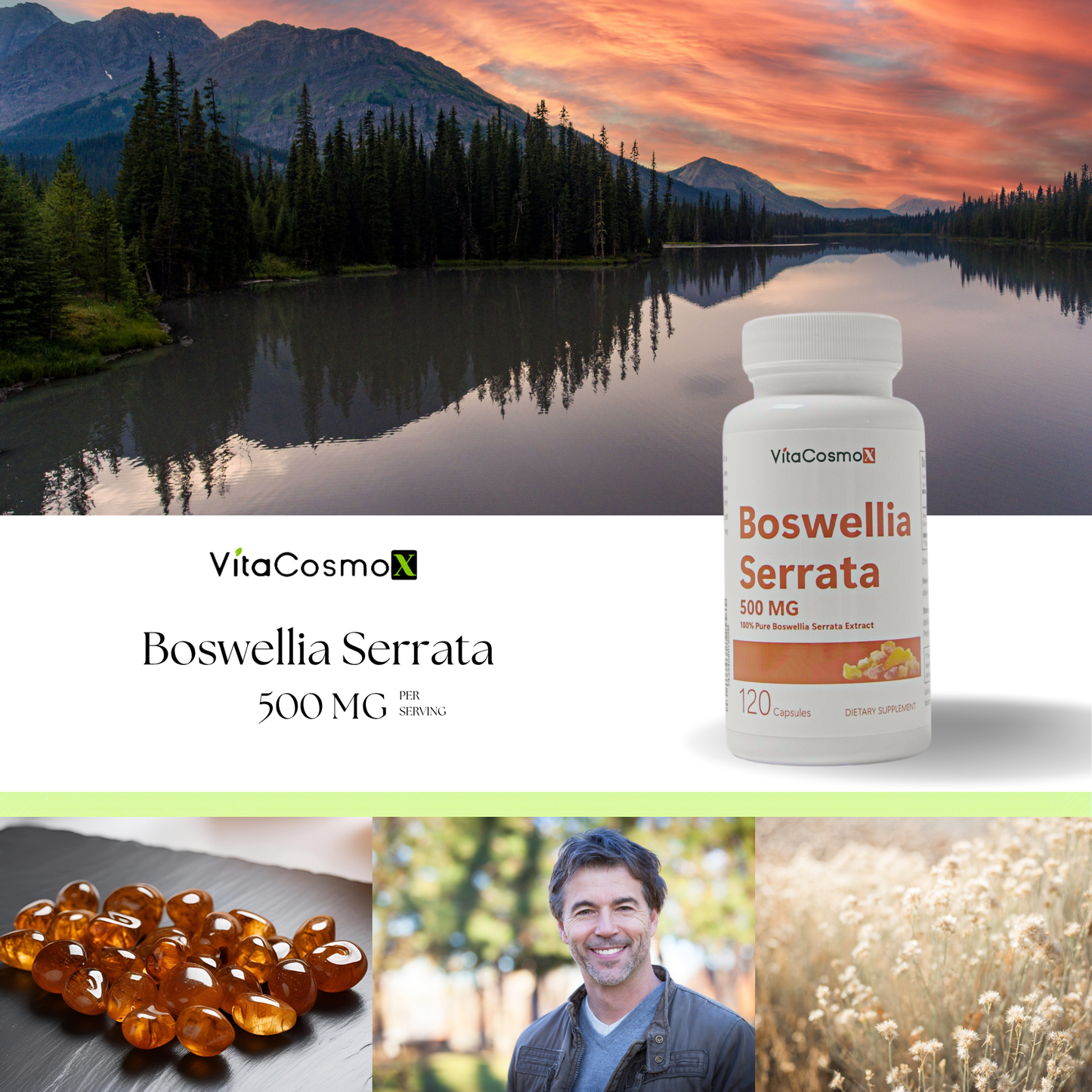 VitaCosmoX Boswellia Serrata Extract 500 mg – 120 Vegan Capsules