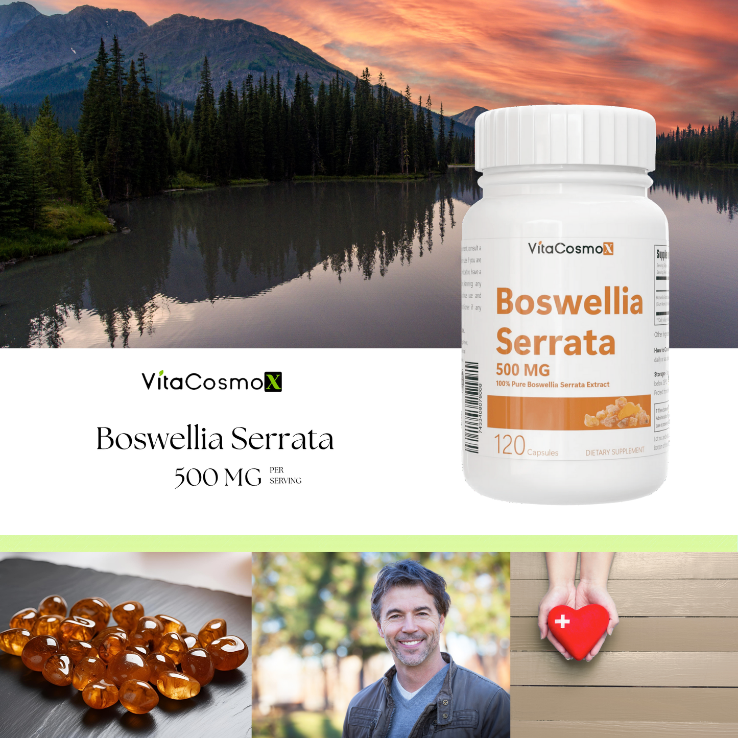 VitaCosmoX Boswellia Serrata Extract 500 mg – 120 Vegan Capsules