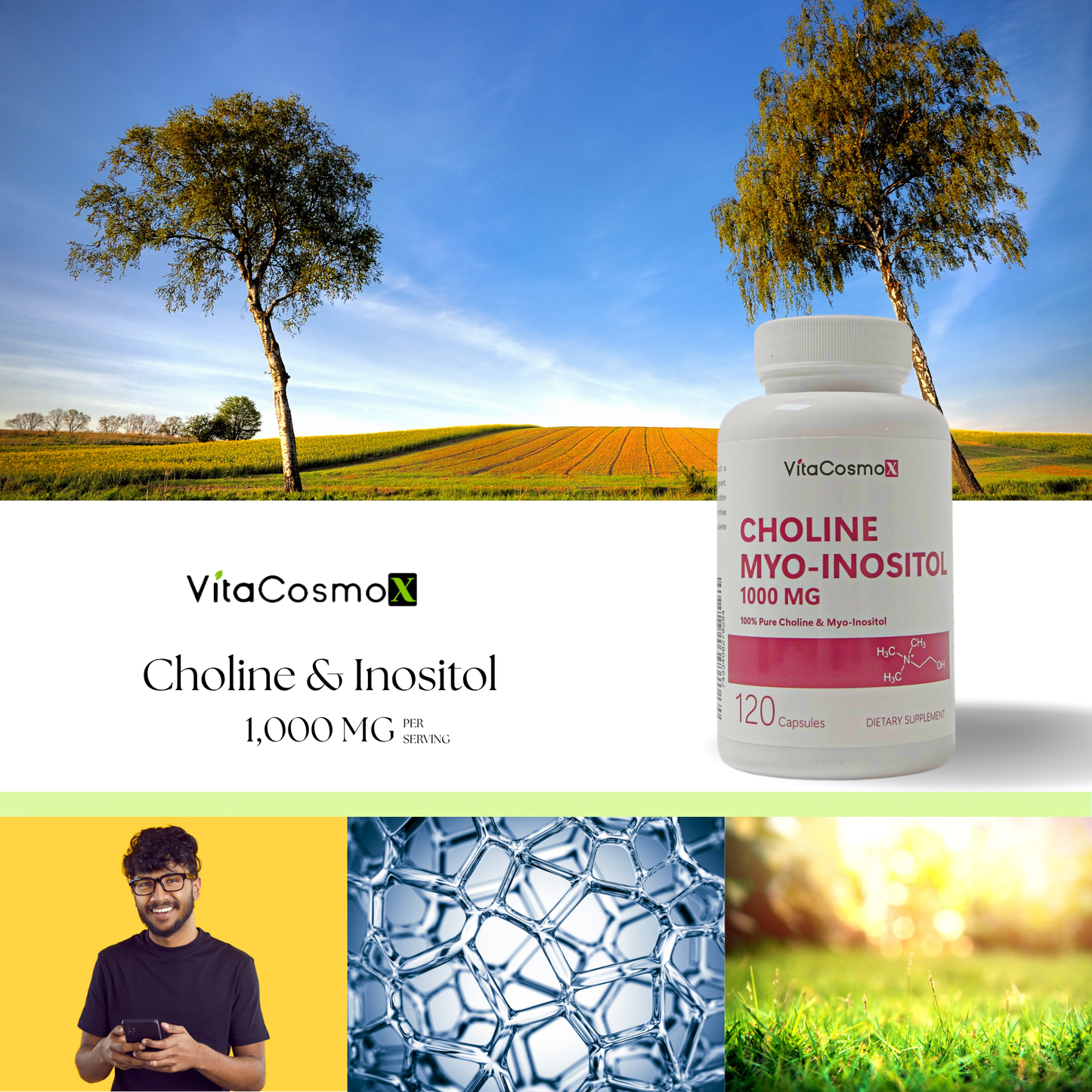 vitacosmox choline poster