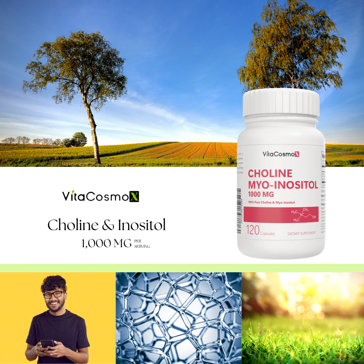 VitaCosmoX Choline & Inositol supplement infographic 1000 mg 120 capsules