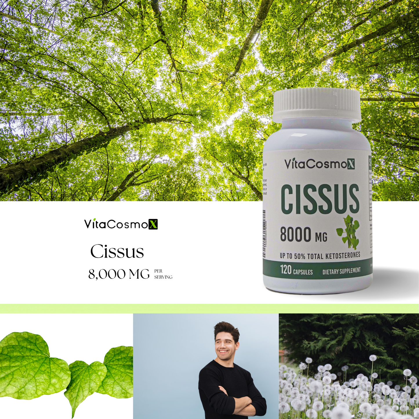 VitaCosmoX Cissus Quadrangularis Extract 8,000 mg – 120 Capsules