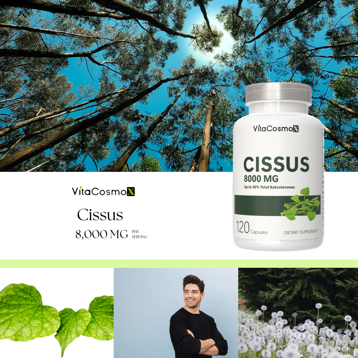VitaCosmo Cissus supplement bottle with natural background 120 capsules 8000 mg