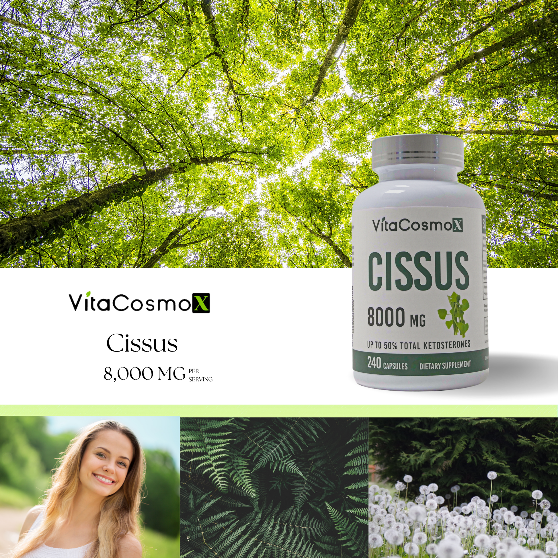 VitaCosmo X Cissus supplement bottle with natural background infographic
