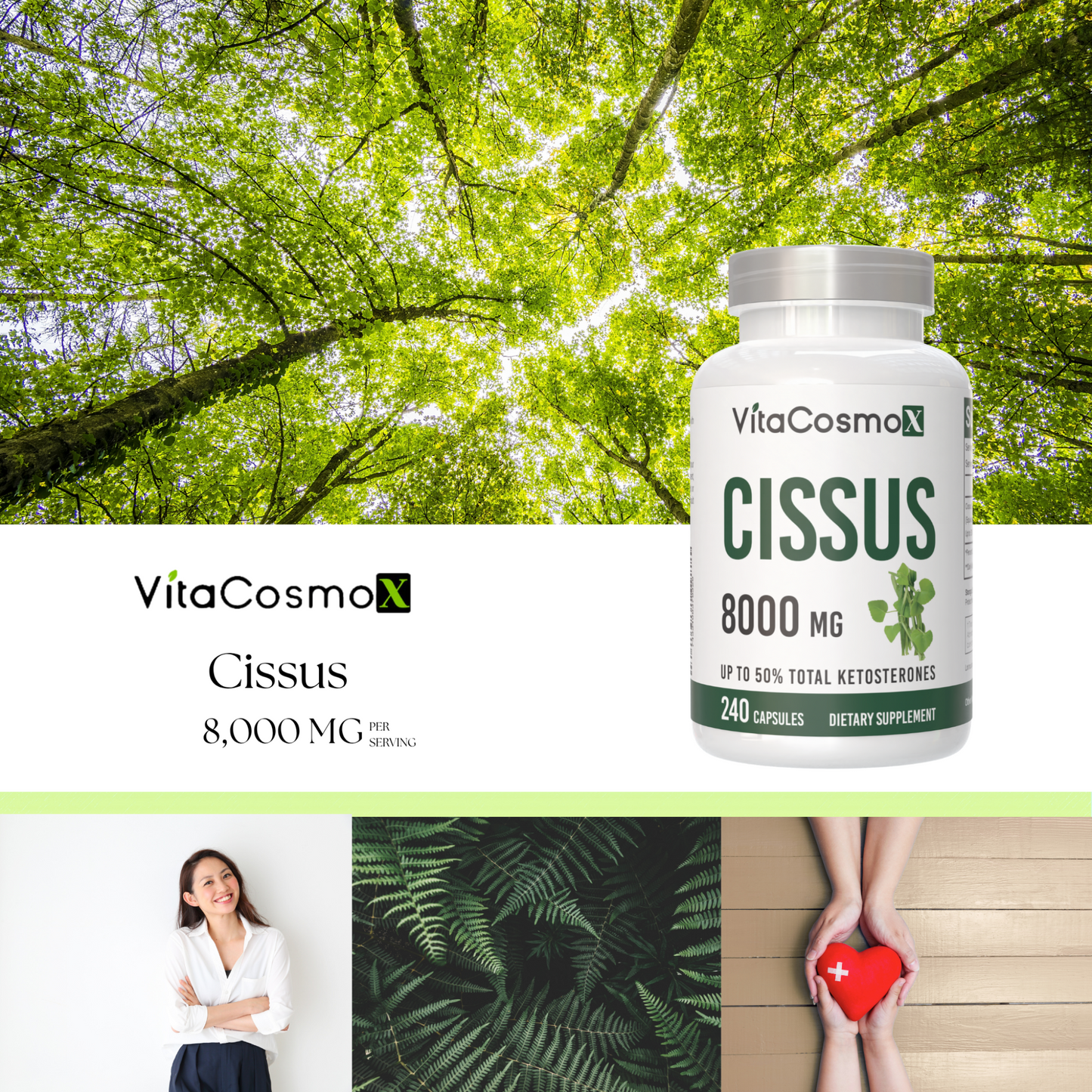 VitaCosmoX Cissus 8000 mg 240 capsules infographic