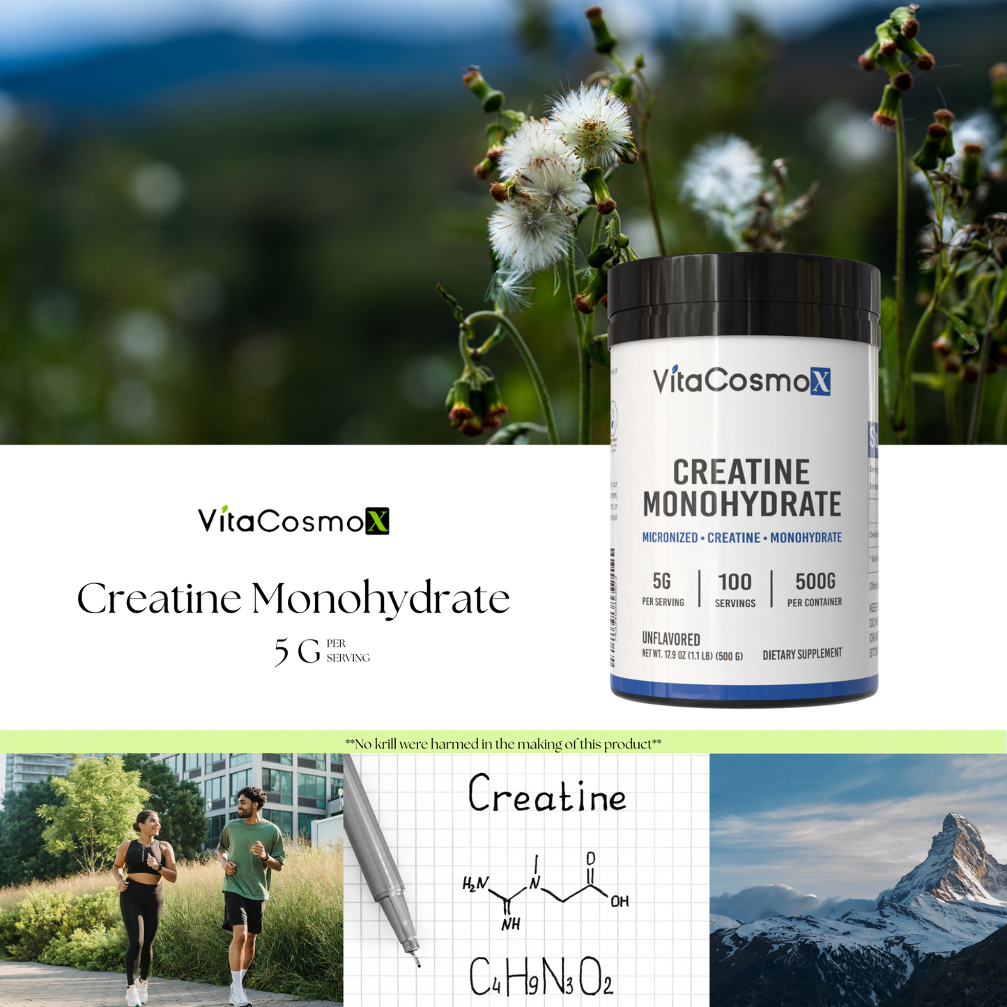 VitaCosmoX Creatine Monohydrate