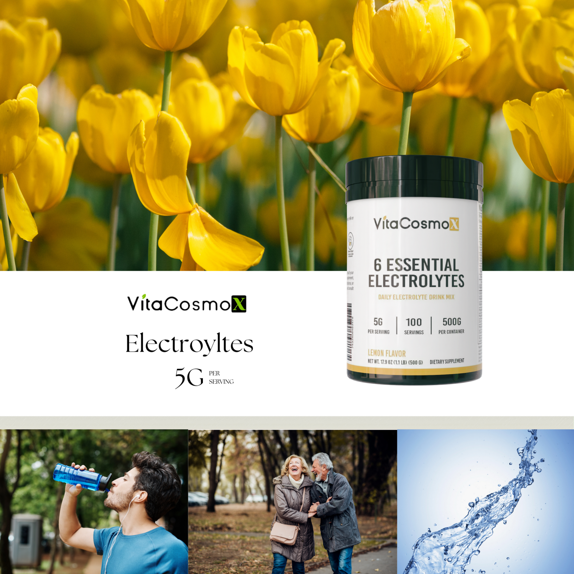 VitaCosmoX Creatine Monohydrate infographic