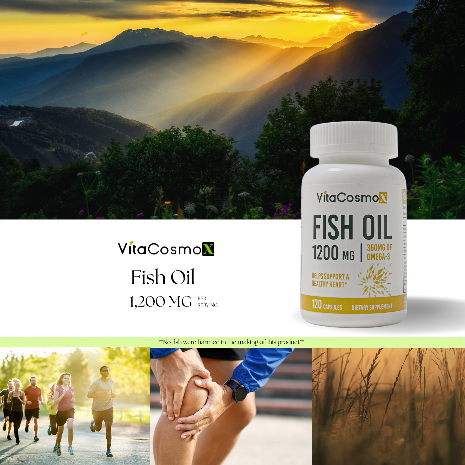 vitacosmox fish oil 120 caps infographic