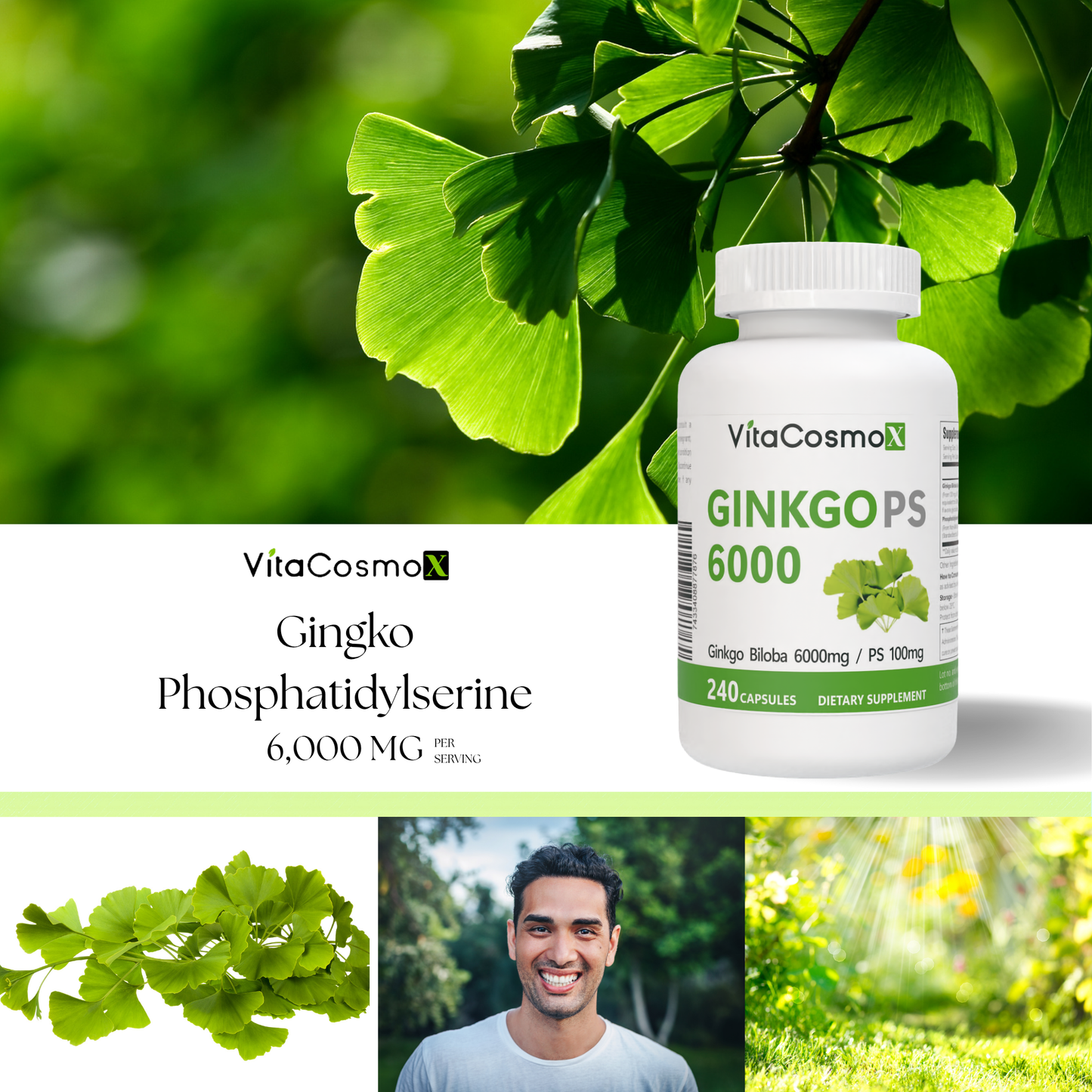VitaCosmoX Ginkgo PS100 – 240 Capsules