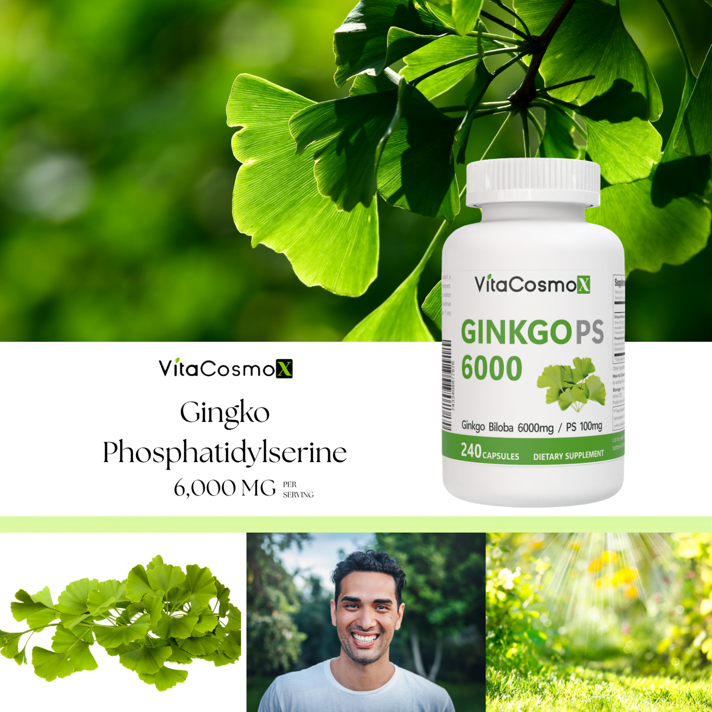 VitaCosmoX Ginkgo PS 6000 dietary supplement bottle with ginkgo biloba leaves and a man in a forest.