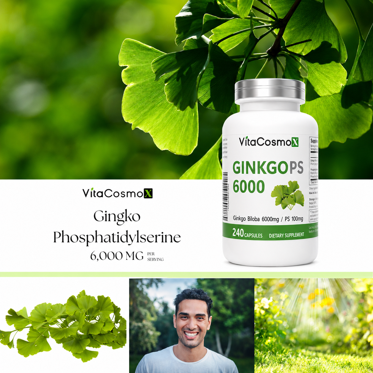 VitaCosmoX Ginkgo PS100 – 240 Capsules