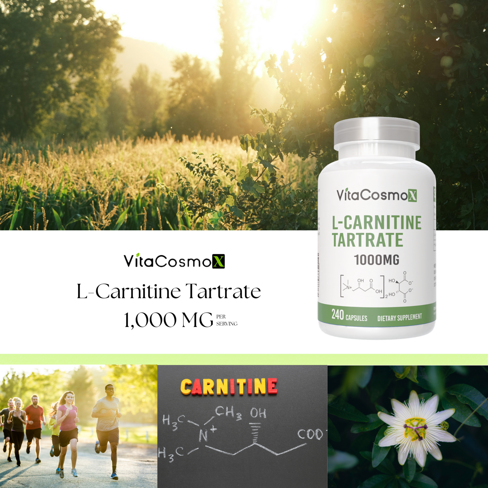 VitaCosmoX L-Carnitine Tartrate infographic 1000 mg 240 capsules