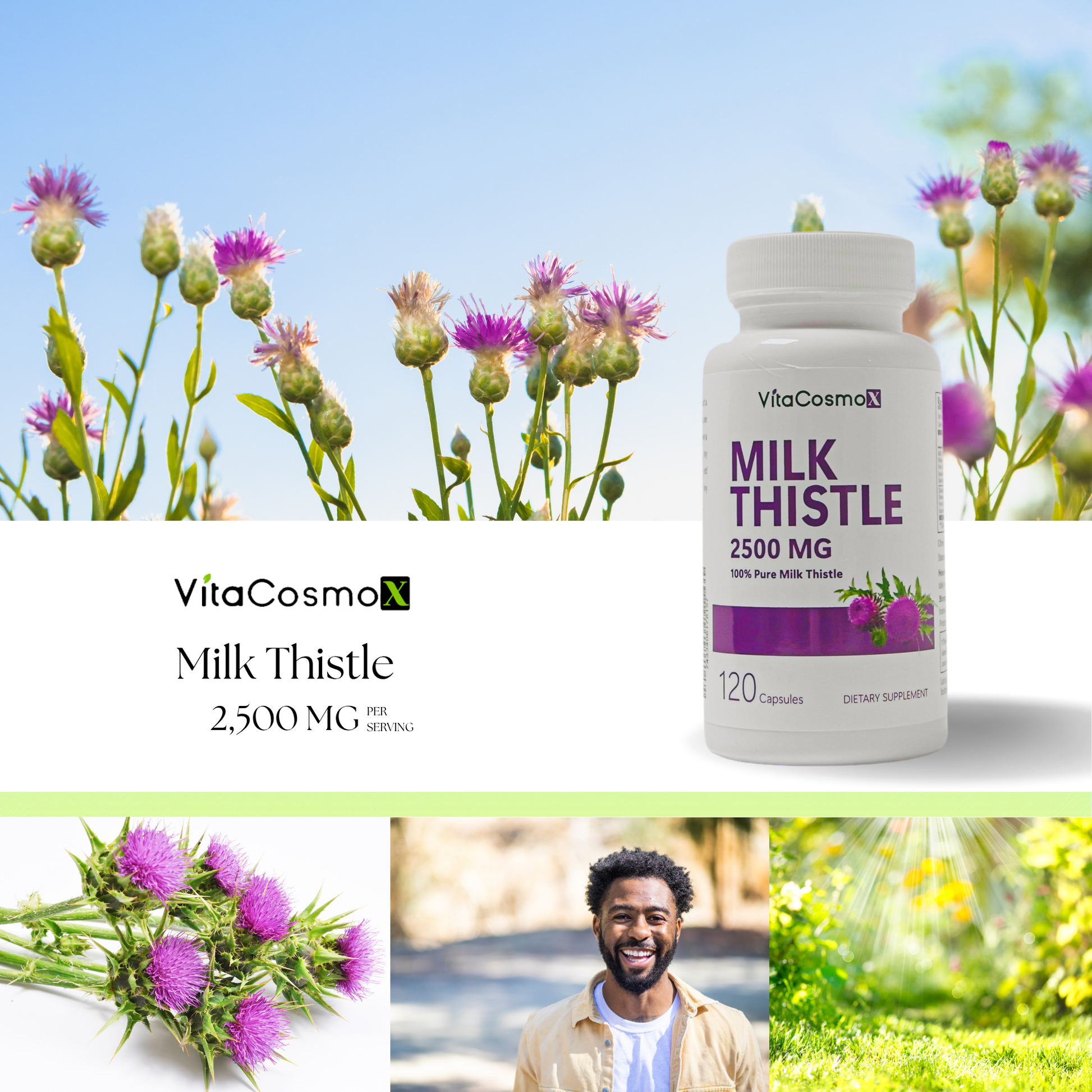 milk thistle 120 cap infographic