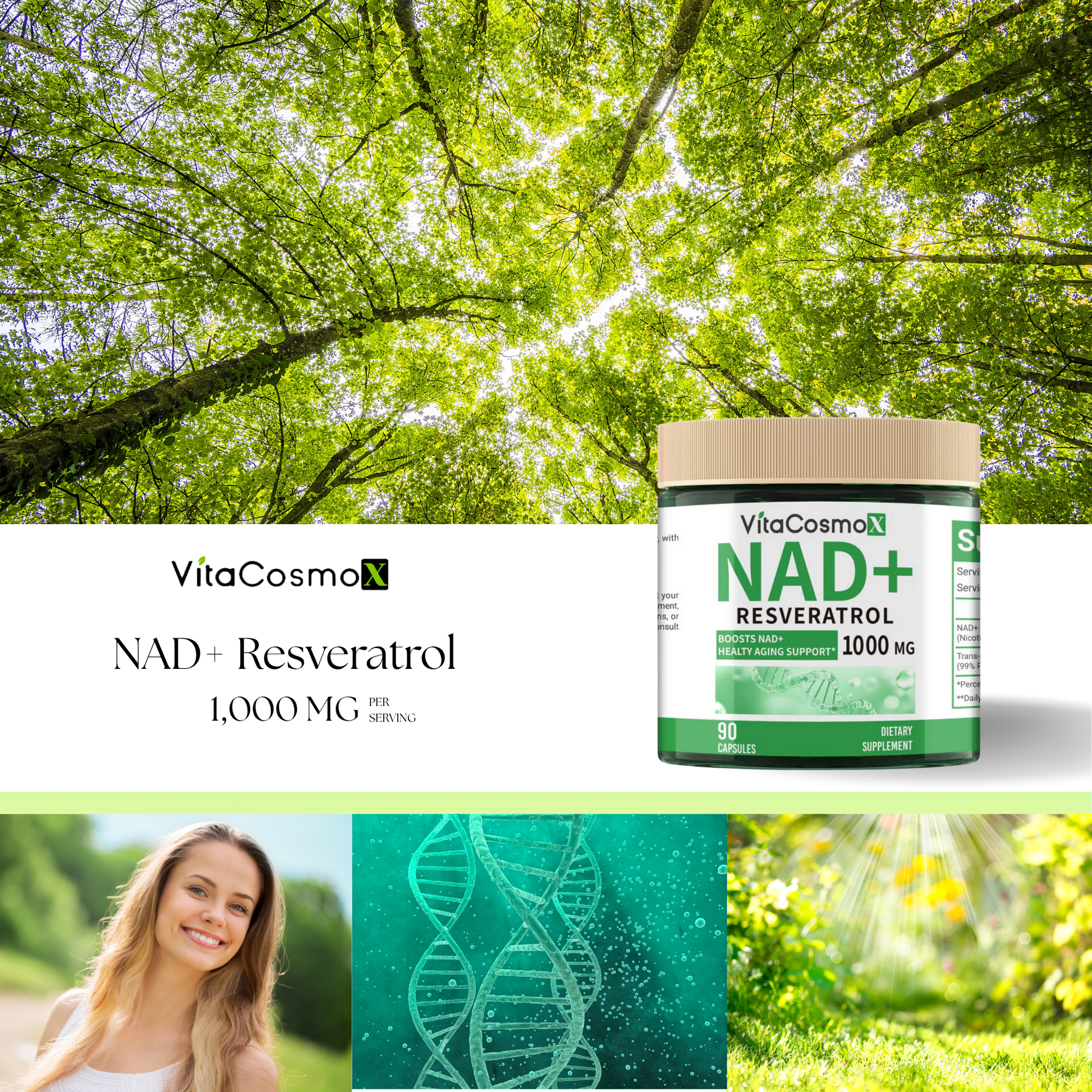 nad+ resveratrol infographic
