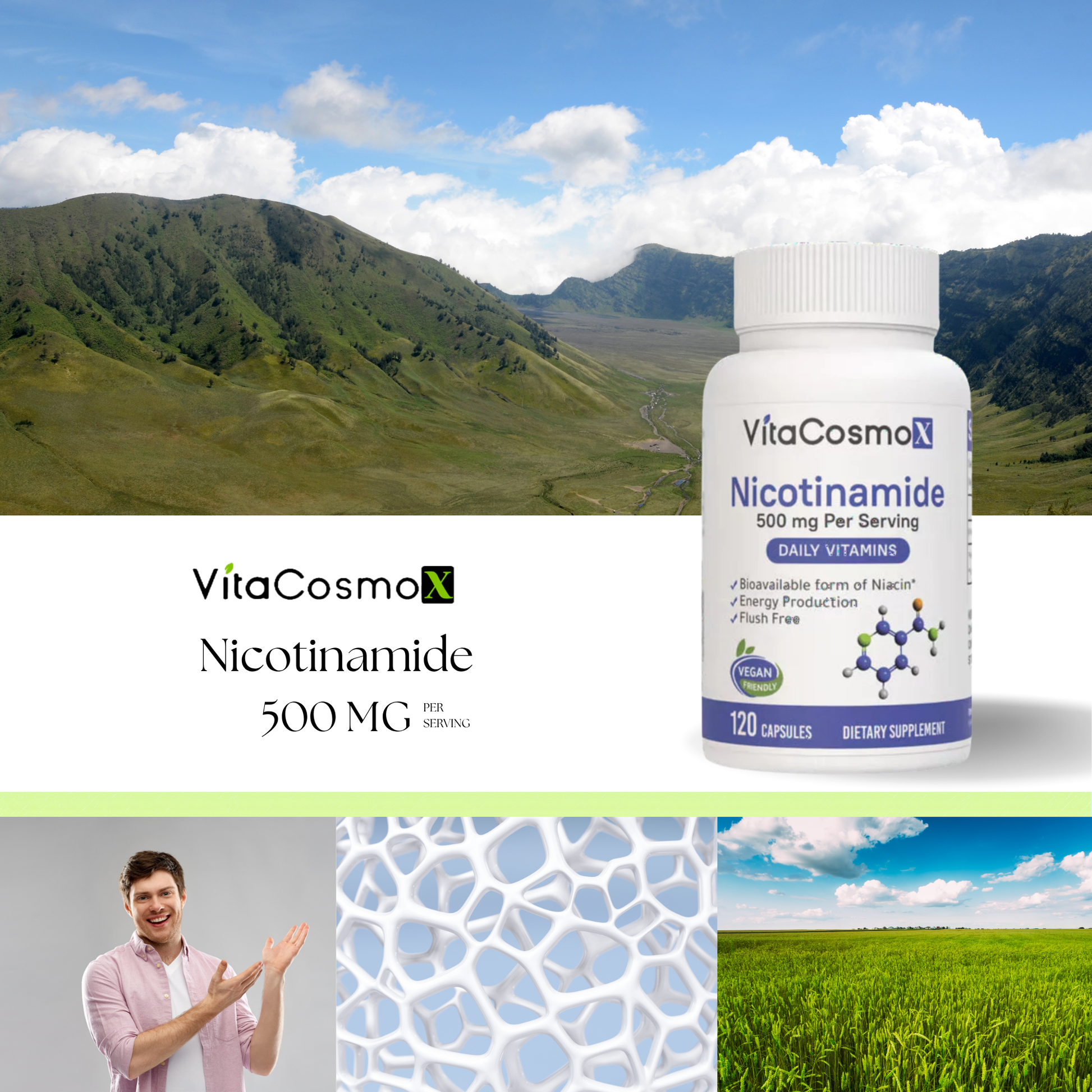vitacosmox nicotinamide infographic 120 caps