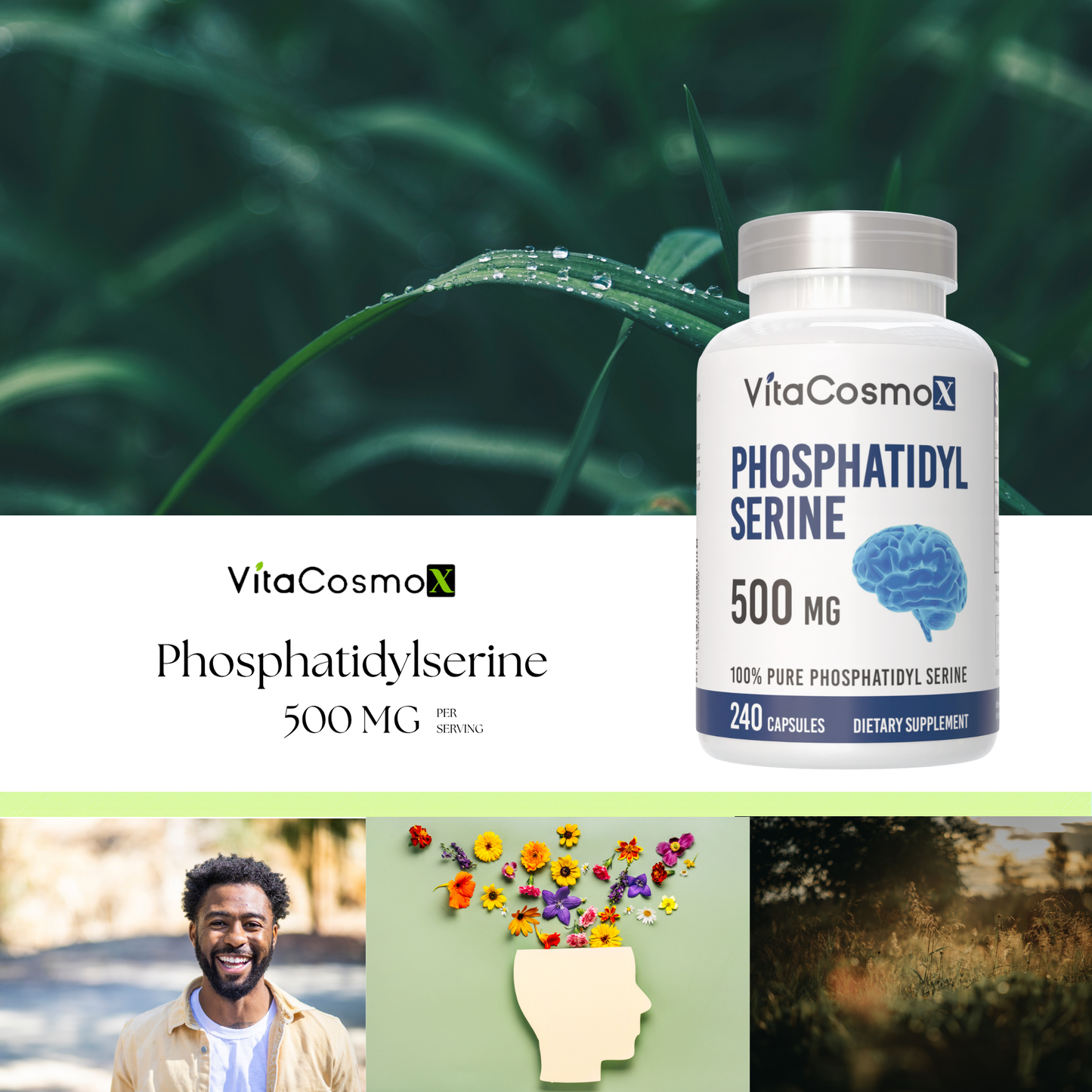 VitaCosmo Phosphatidylserine supplement bottle 240 capsules 500 mg