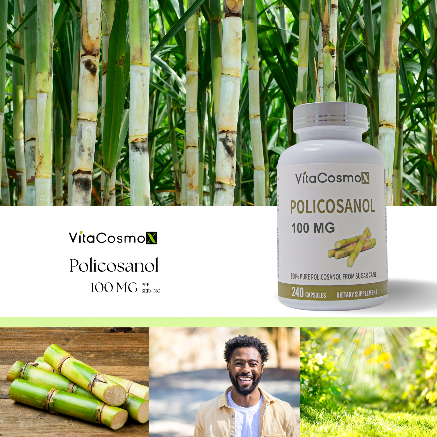 vitacosmox  policosanol 240 caps infographic