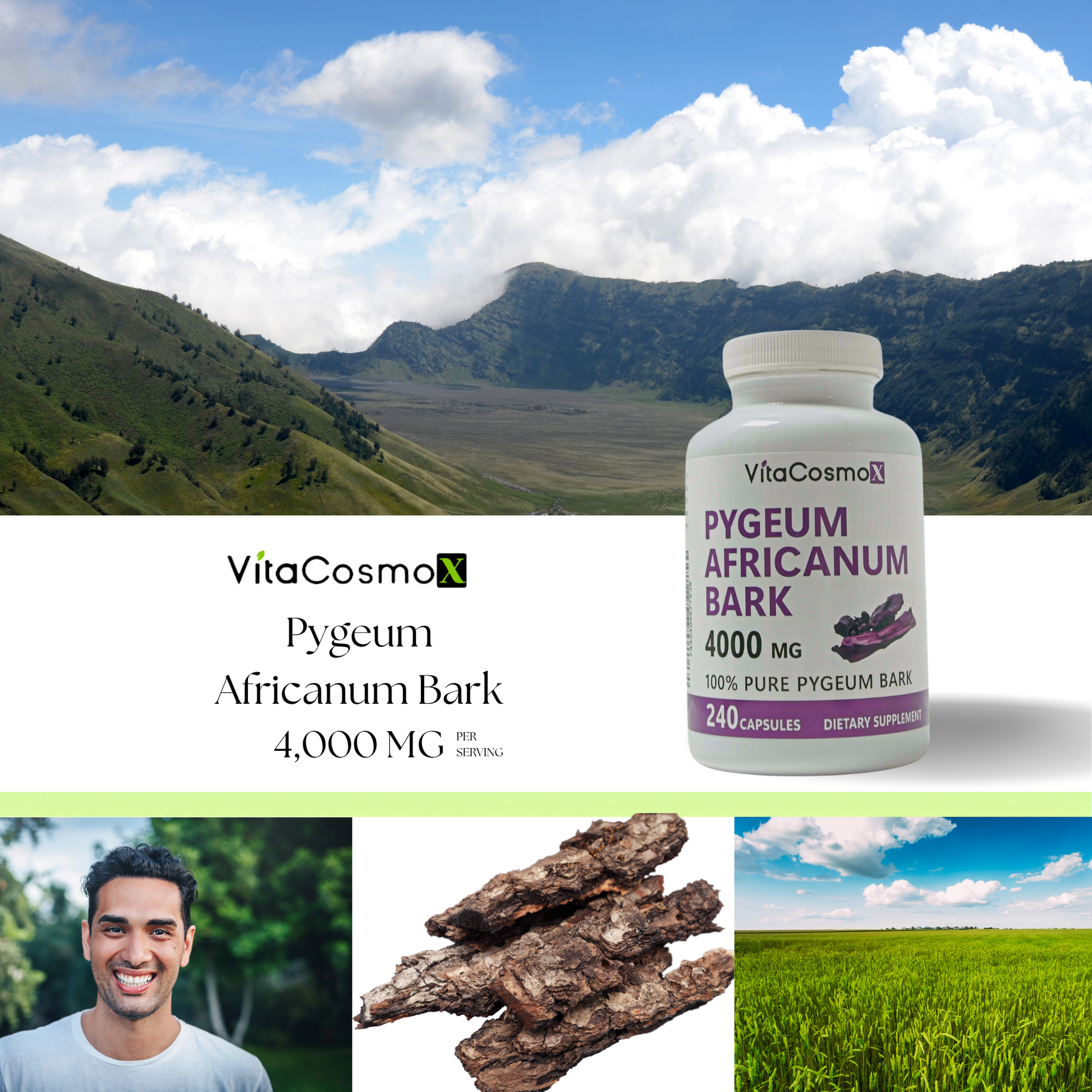 vitacosmox pygeum 240 caps infographic
