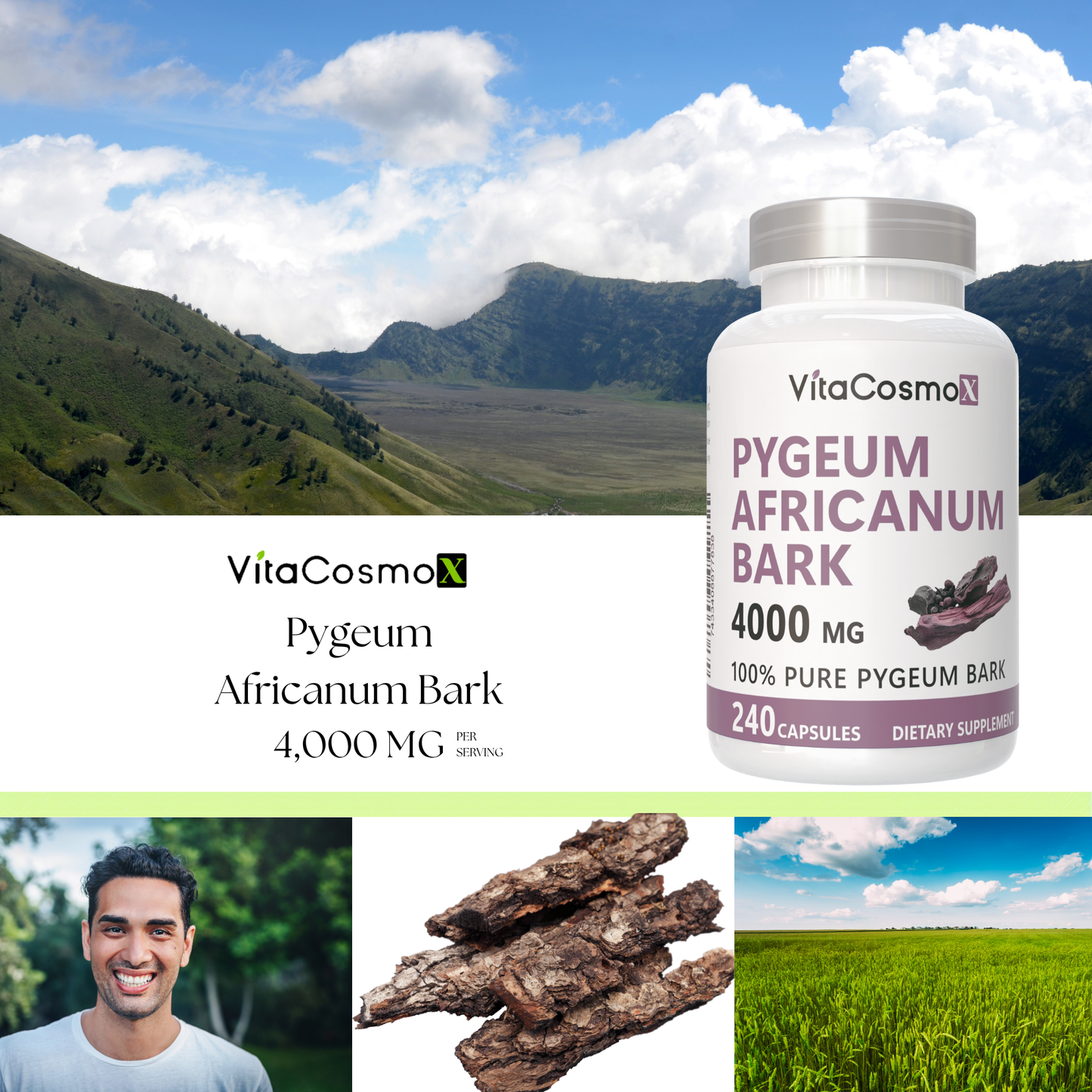 vitacosmox pygeum 240 caps infographic