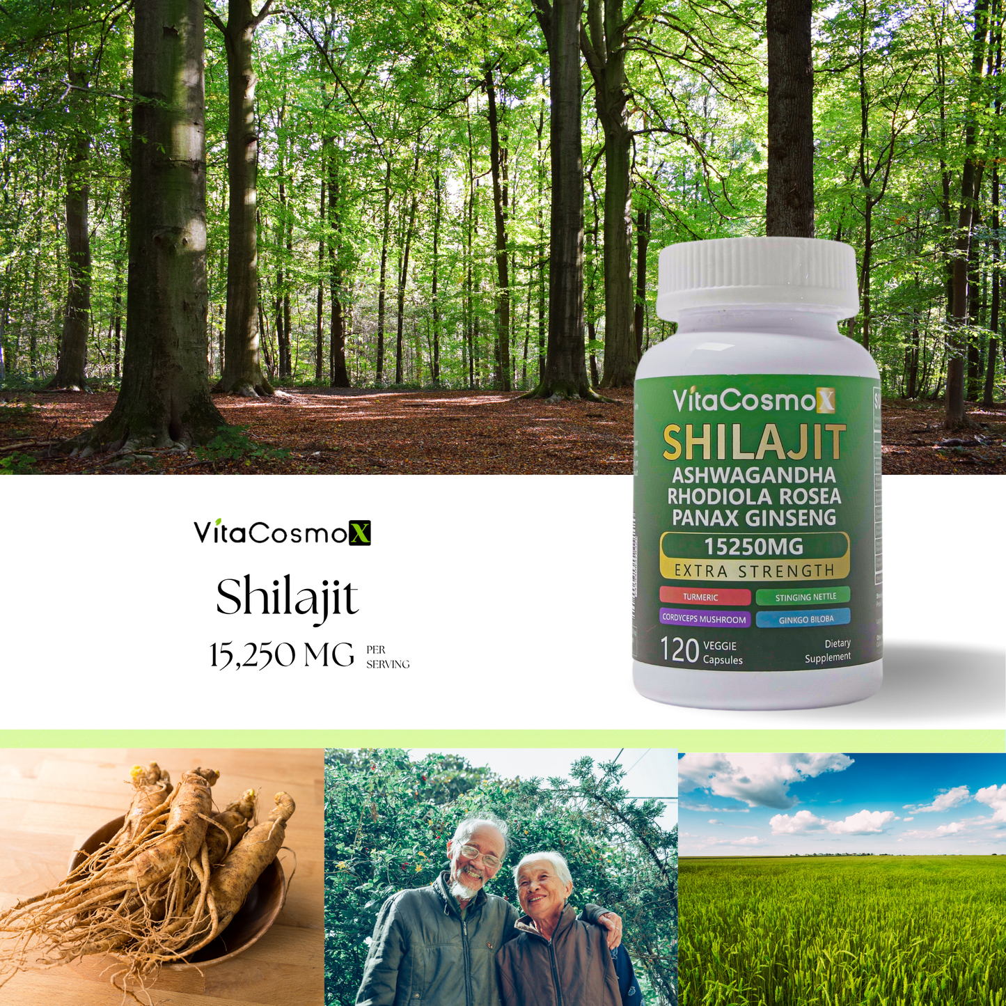 vitacosmox  shilajit 120 caps infographic