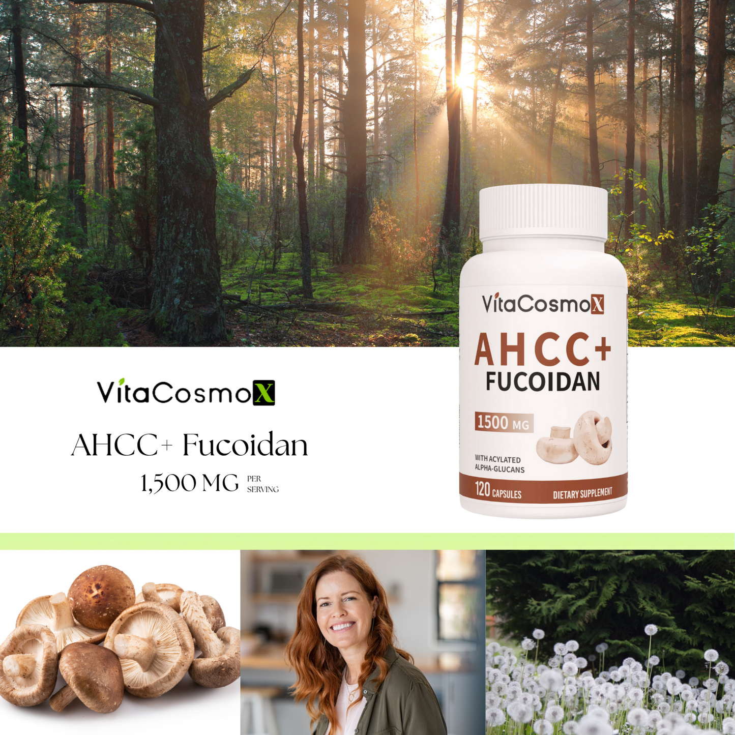 VitaCosmoX AHCC Fucoidan infographic 1500 mg 120 capsules