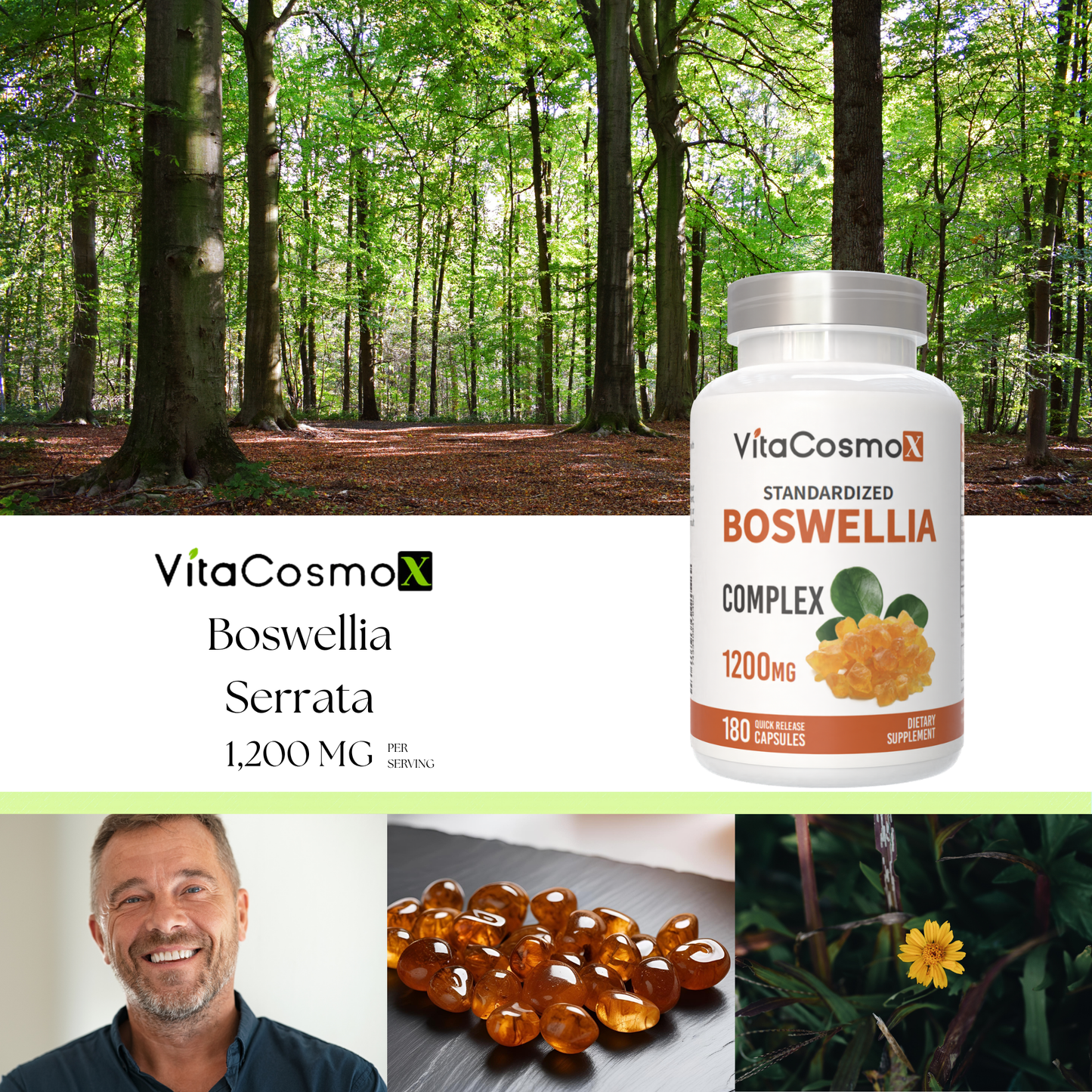 VitaCosmoX Boswellia Serrata Extract 1,200 mg – 180 Vegan Capsules
