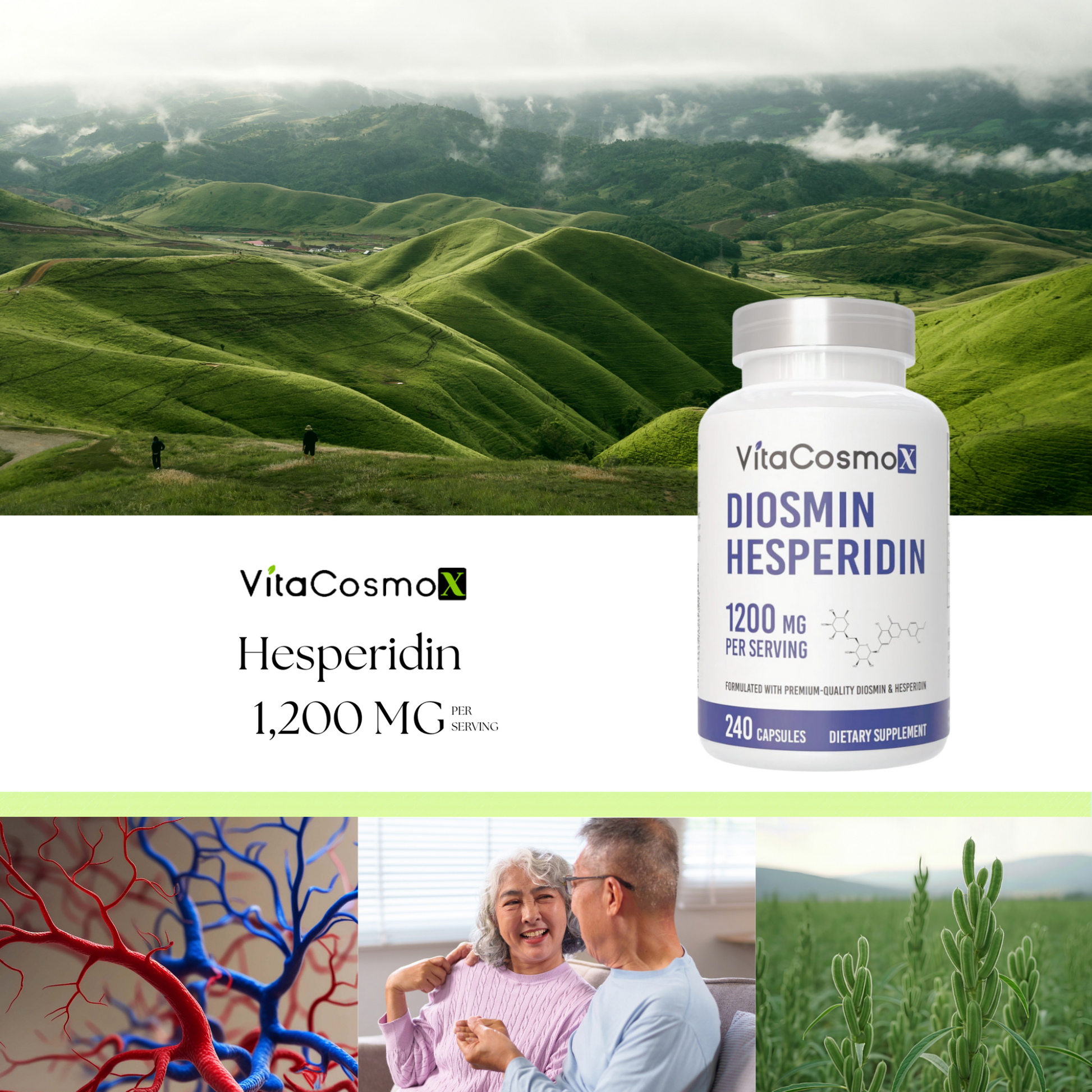 VitaCosmoX Hesperidin 240 Vegan Capsules Infographic