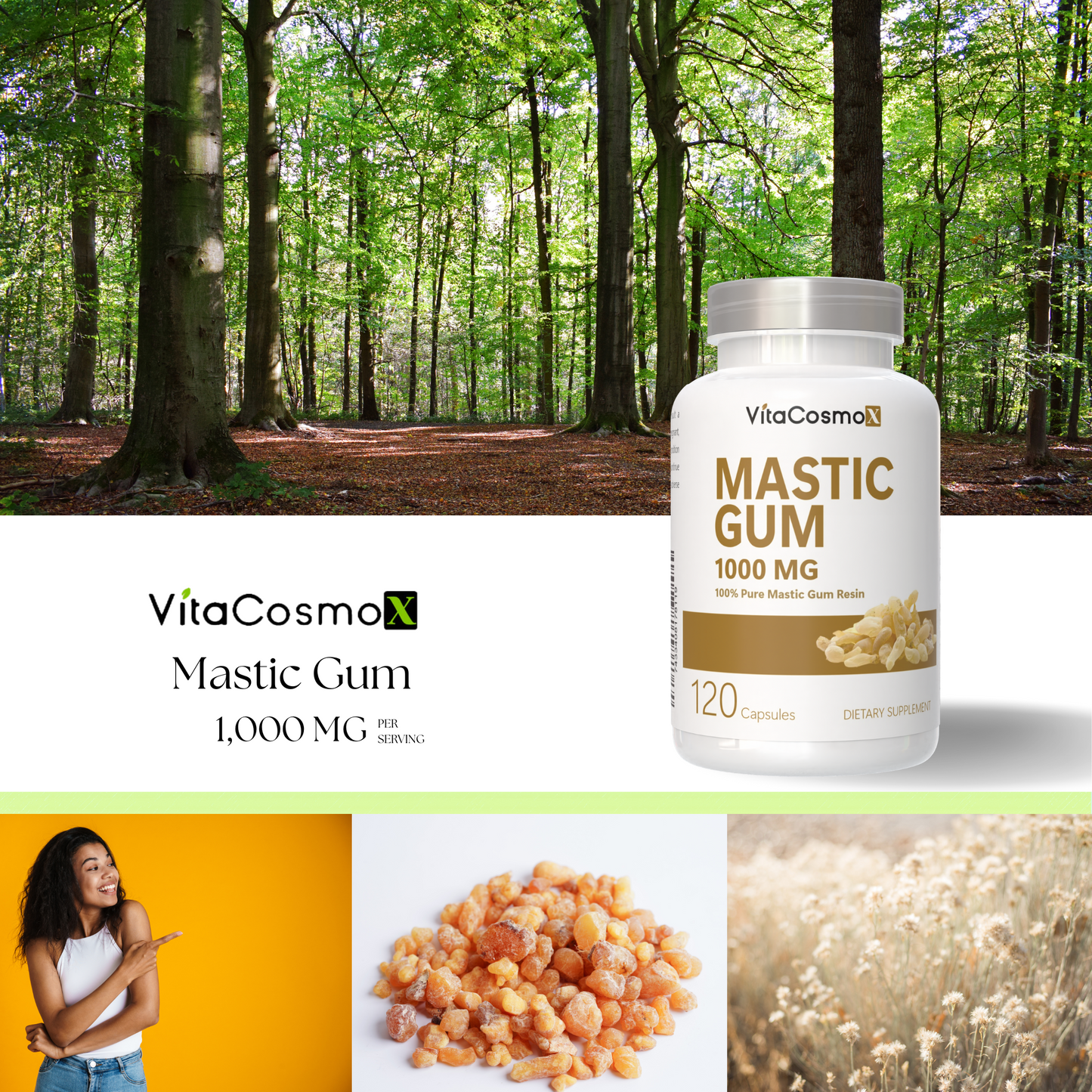 mastic gum 120 cap infographic