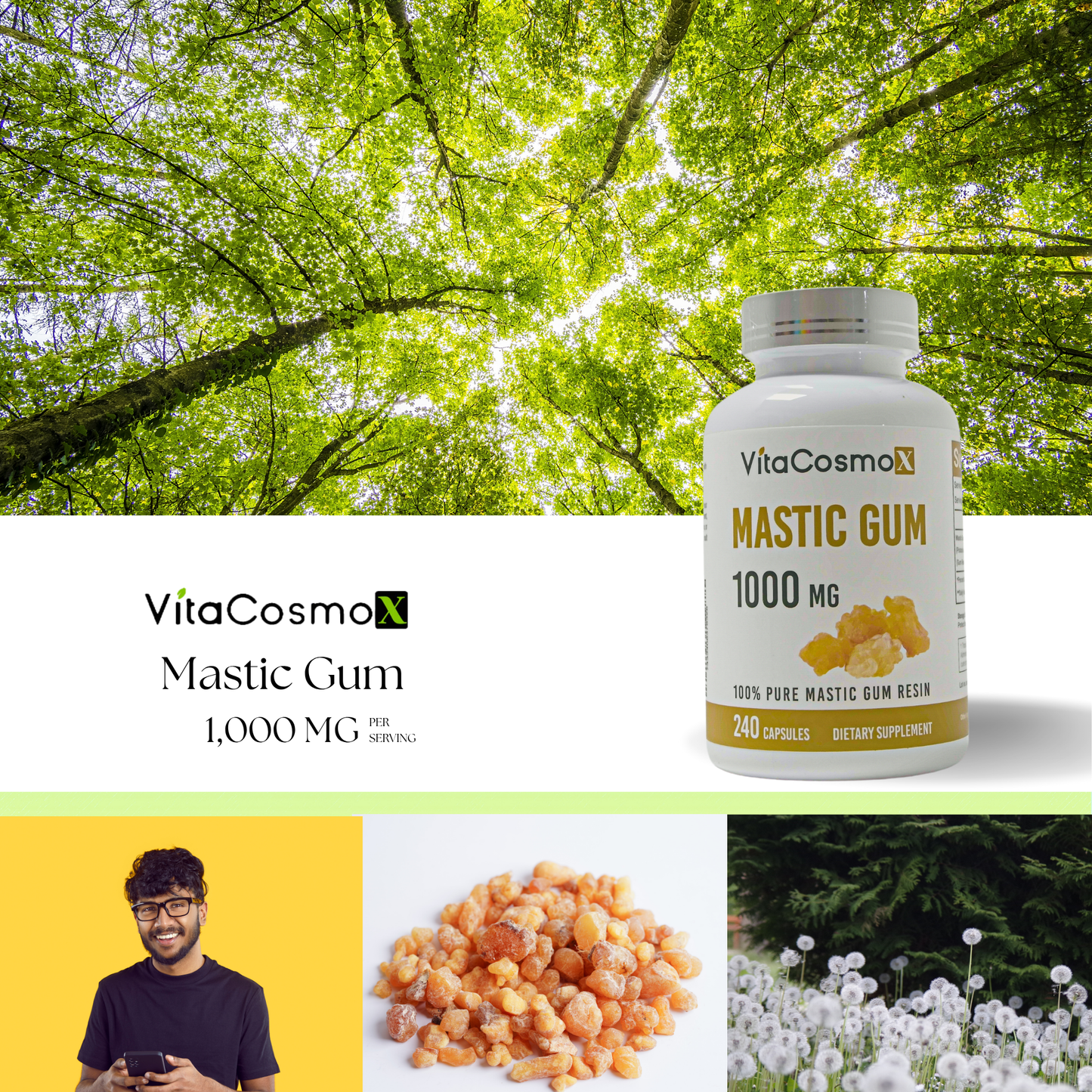 VitaCosmoX Mastic Gum Capsules | 1,000 mg | 240 Vegan Capsules