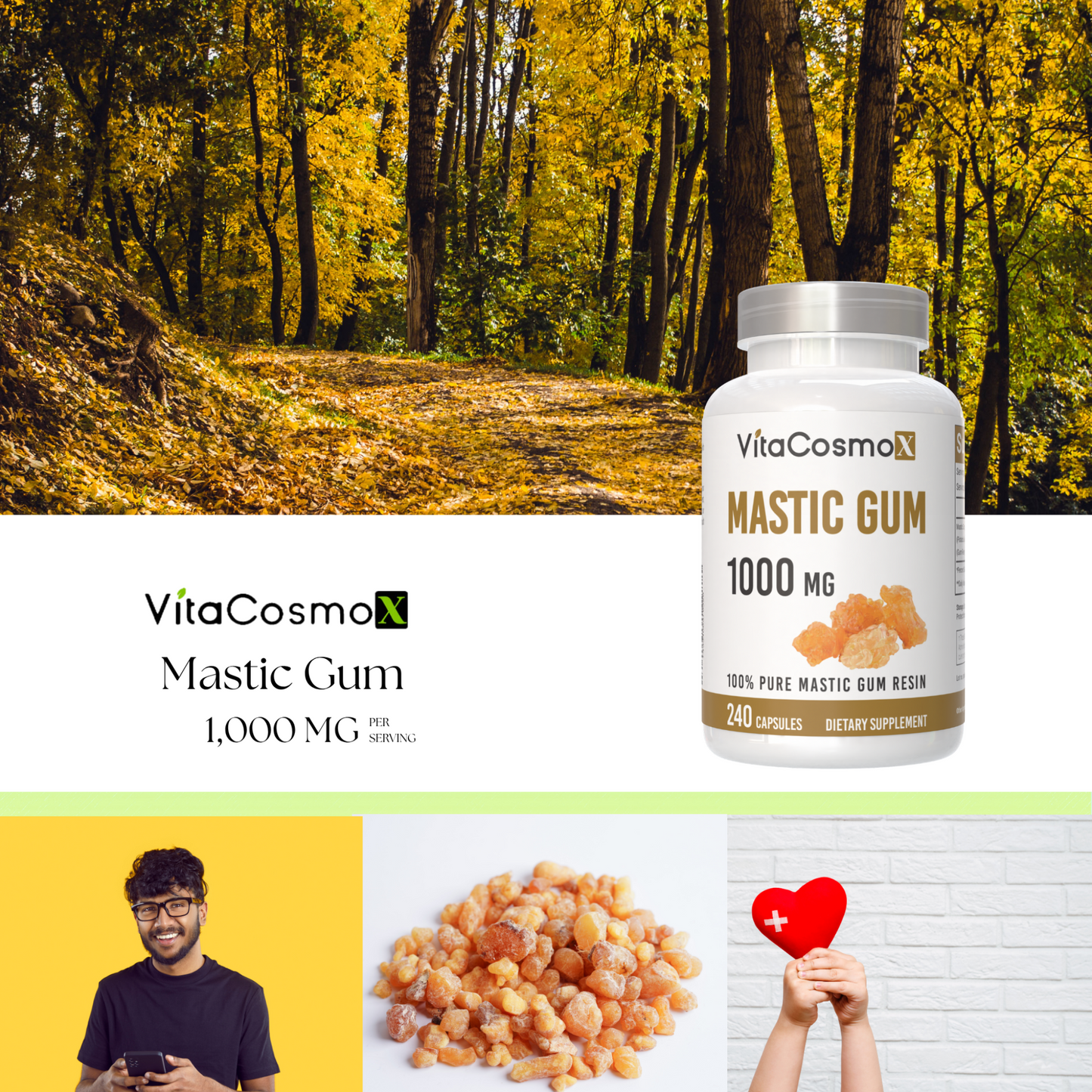 VitaCosmo Mastic Gum supplement bottle 240 capsules 1000 mg infographic